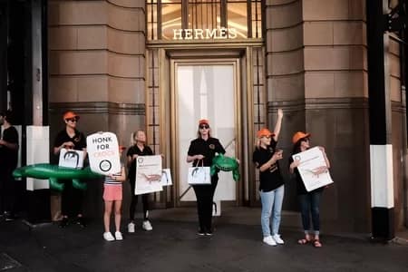 Fashion To Die For: Hermès crocodile farms in Australia Protesting Hermes crocodile farms in Australia