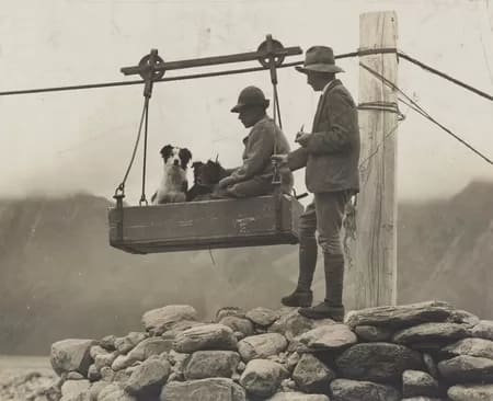 DogRide450 - 1EarthMedia Dog ride by Walter Burke