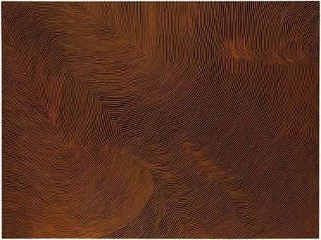 Untitled - 1EarthMedia Warlimpirrnga Tjapaltjarri