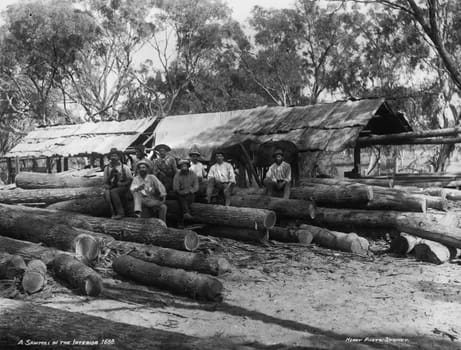Sawmill in Australia, circa 1900