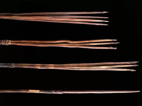 darts01-350 - 1EarthMedia Four Australian Aboriginal spears – cared for by Cambridge’s Museum of Archaeology and Anthropology – are to be repatriated after Trinity College agreed to permanently return them to the country.
