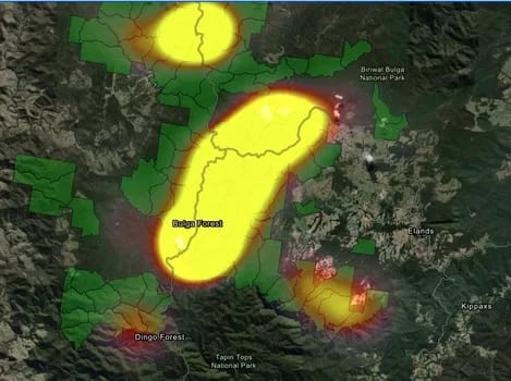 greatergliderheatmapbulga-350 - 1EarthMedia Greater Glider heat map, Bulga Forest