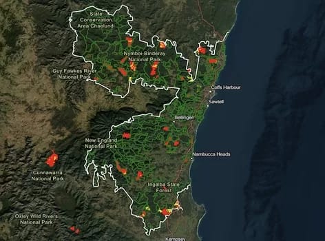 Important Koala Habitat Logged to Undermine Koala Sanctuary Interactive map of logging in NSW
