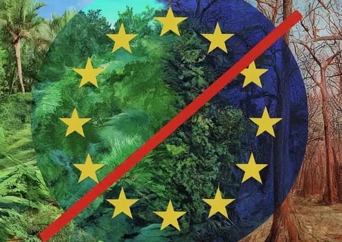 European Union Regulation on Deforestation-free Products EU Deforestation