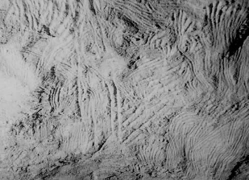 Koonalda Cave Vandals Destroy Ancient Aboriginal Treasure Koonalda Cave art, photo: Robert G. Bednarik Hebei Normal University