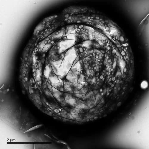 science005 - 1EarthMedia science photo competition