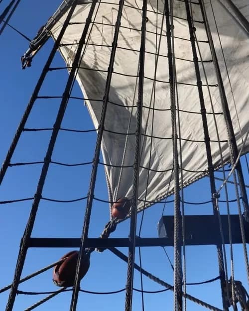 endeavour2019-03-500 - 1EarthMedia HMB Endeavour under sail © 2019 Mark Anning photo. All Rights Reserved.