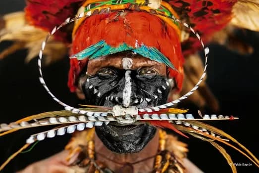 Bilas: Body Adornment of Papua New Guinea exhibition A Chimbu tribe chief’s face is painted with charcoal and crushed seashells. Bird of paradise feathers adorn his headdress and nose piercing.