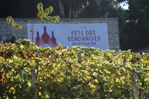 014 - 1EarthMedia Montmartre Grape Harvest Wine Festival © Mark Anning photo 2022