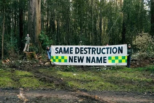 GliderVictoria001-350 - 1EarthMedia Endangered Greater Glider habitat tree allegedly felled by Forest Fire Management Victoria (FFMV) in the Yarra Ranges National Park.