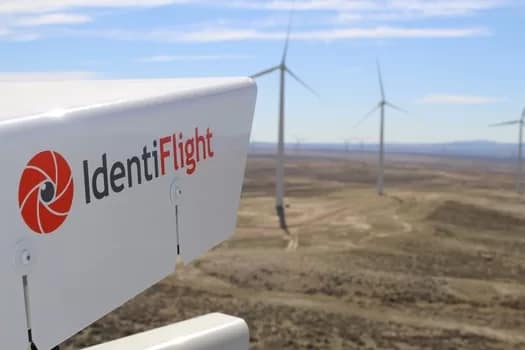 Wind Farms using AI & Cameras for Eagle Conservation IdentiFlight® Bird detection System, Cattle Hill Wind Farm