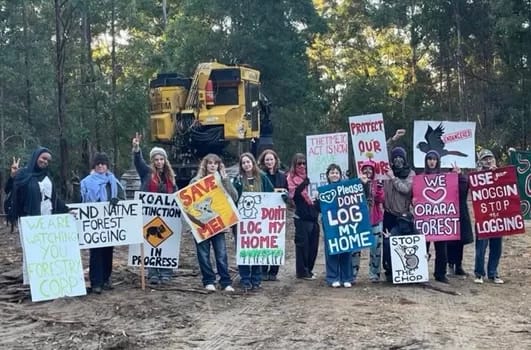 Students halt logging in Orara East State Forest