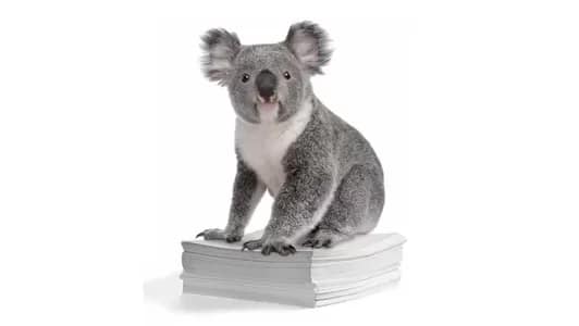 Koala regulations