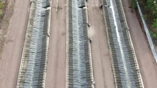 Scale-of-crocodile-Hermes-farm - 1EarthMedia Crocodiles kept in pens at Hermes crocodile farms