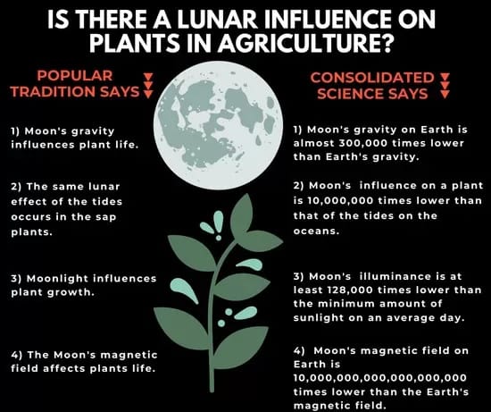 PlantsinSpace - 1EarthMedia Plants on the Moon graphic