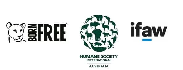 Humane Society International (HSI) Australia, the International Fund for Animal Welfare (IFAW), and the Born Free Foundation - 1EarthMedia Humane Society International (HSI) Australia, the International Fund for Animal Welfare (IFAW), and the Born Free Foundation