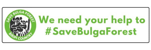 image-1 - 1EarthMedia Save Bulga Forest