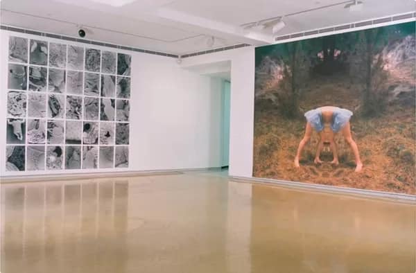 OzPhoto009_600 - 1EarthMedia Photography is Dead! Long Live Photography!, 1996, curated by Linda Michael, showing work by Pat Brassington and Jane Eisemann, Museum of Contemporary Art, Sydney. Courtesy the artist, Tolarno Galleries, Melbourne and Museum of Contemporary Art, Sydney