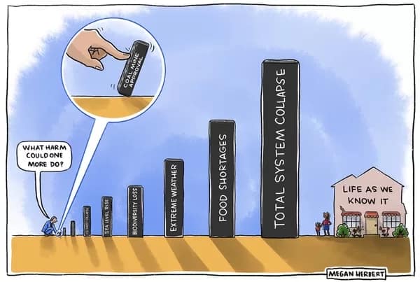 MeganHerbert - 1EarthMedia Cartoonist Megan Herbert clinched the inaugural climate award