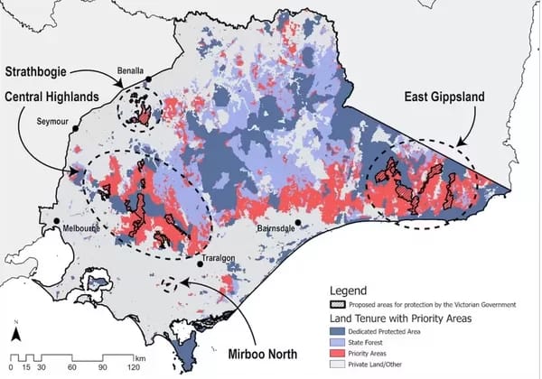 ImmediateProtectionArea600 - 1EarthMedia Here you can see the Immediate Protection Areas (hatched areas) compared to the areas which we actually need to be protected (red), across the forests of eastern Victoria. Chris Taylor, Author provided