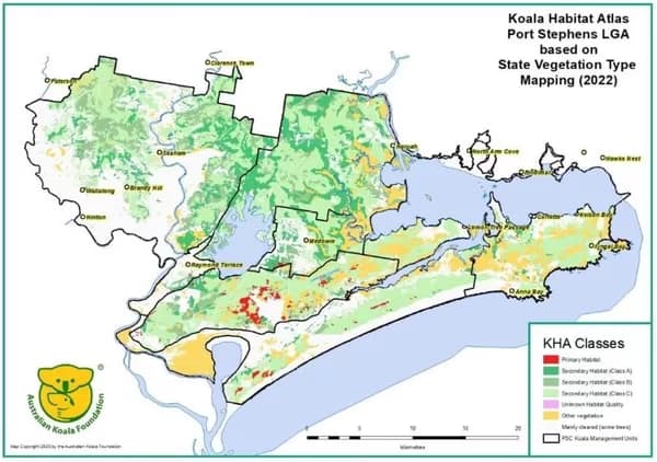Flawed habitat maps could derail government plans to save the Koala Port Stephens LGA Koala Habitat Atlas based on SVTM vegetation mapping. This map shows 80% less Primary Habitat than the AKF map.