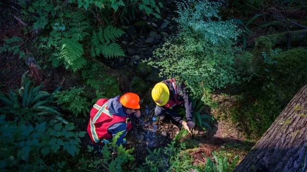 FinanceForForests002 - 1EarthMedia Ha-ma-yas Guardians conduct a forest survey. (Photo: Na̲nwak̲olas Council)