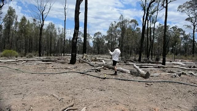 pillaga-spill-site-640x360-1 - 1EarthMedia Photo by Byron Environment Centre (BEC) co-ordinator David Saunders