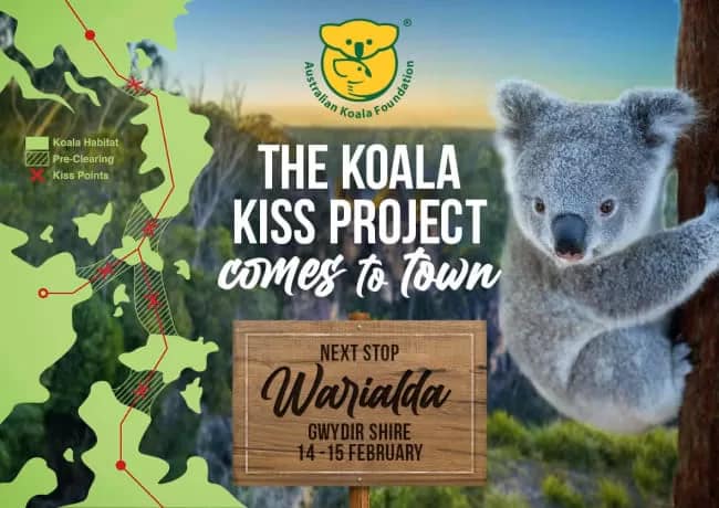 koalakiss - 1EarthMedia Koala Kiss