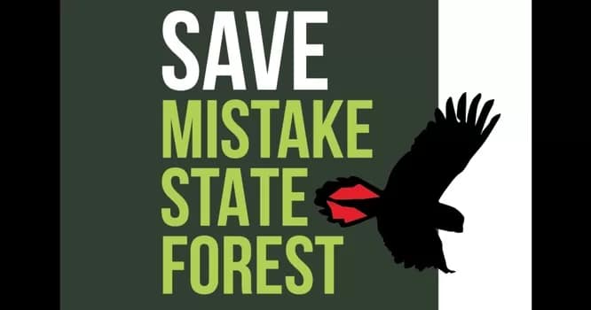 SaveMistakeForest01 - 1EarthMedia Save Mistake Forest