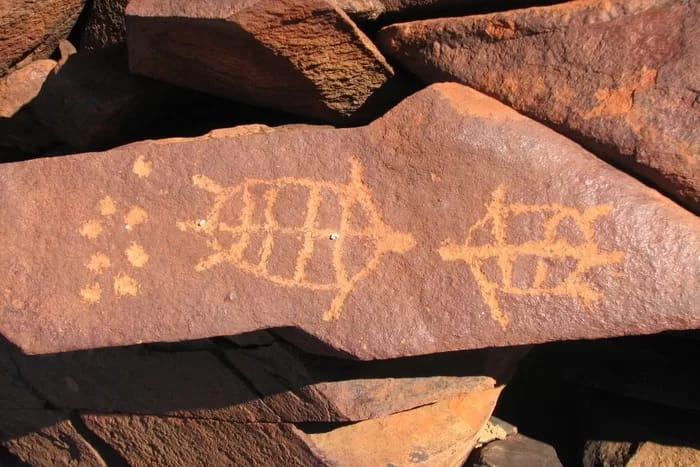 TurtlePetroglyph - 1EarthMedia Turtles petroglyph