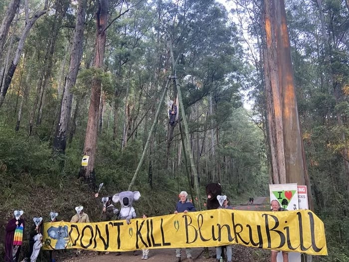 dontkillblinkybill-700 - 1EarthMedia Photo: Margo Kingston on Twitter