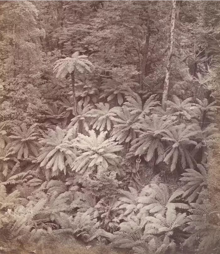 landscape03-700 - 1EarthMedia Nicholas Caire, Fairy Scene at the Landslip, Blacksโ Spur, c. 1878.ย National Gallery of Victoria