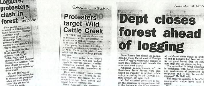 History of logging Wild Cattle Creek forest