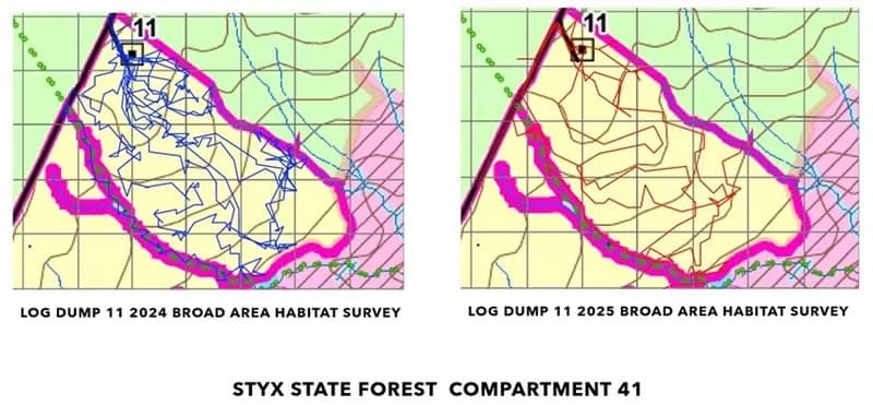 Styx State Forest logging surveys - 1EarthMedia Styx State Forest logging surveys