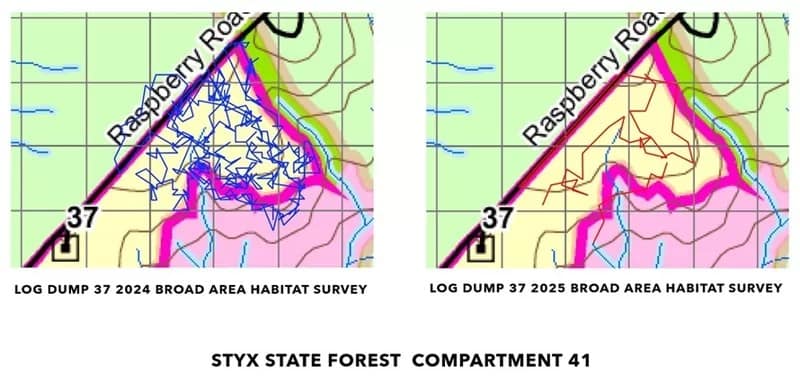 Styx State Forest logging surveys - 1EarthMedia Styx State Forest logging surveys