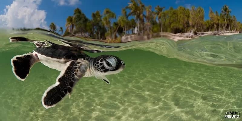 Jorgen Freund photography