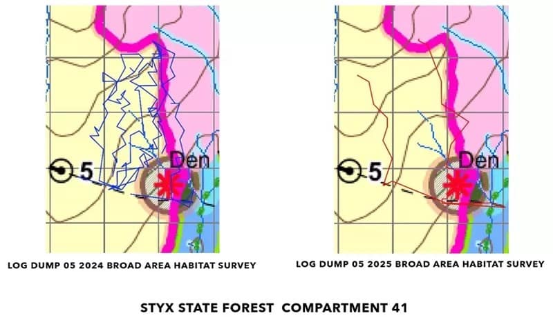 Styx State Forest logging surveys - 1EarthMedia Styx State Forest logging surveys