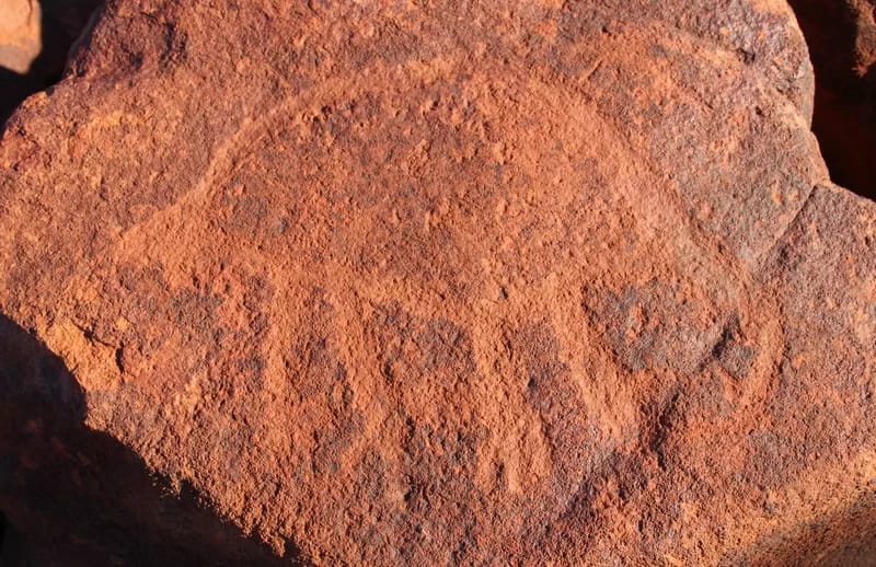 Zaglossus-extinct-petroglyph - 1EarthMedia An extinct Zaglossus petroglyph