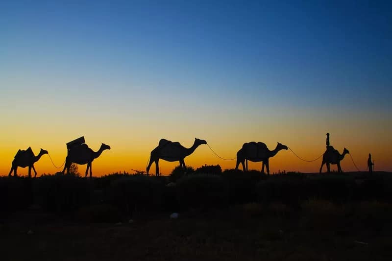 Camel_train_BirdsvillePhotographer Brett Stanley - 1EarthMedia Camel train