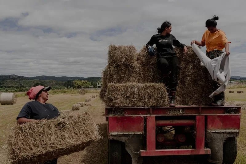 Asia-Pacific and Oceania - Tatsiana Chypsanava - 1EarthMedia “Future on the Farm” © Tatsiana Chypsanava, Pulitzer Center, New Zealand Geographic — used with permission World Press Photo
