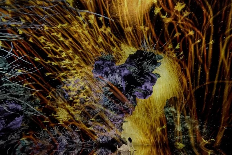 teamLab_The Way of Birds_Biovortex Kyoto - 1EarthMedia teamLab, The Way of the Birds, 2025, from the series The Way of the Birds, 2017–, installation, sound: Hideaki Takahashi, © teamLab, courtesy Pace Gallery.