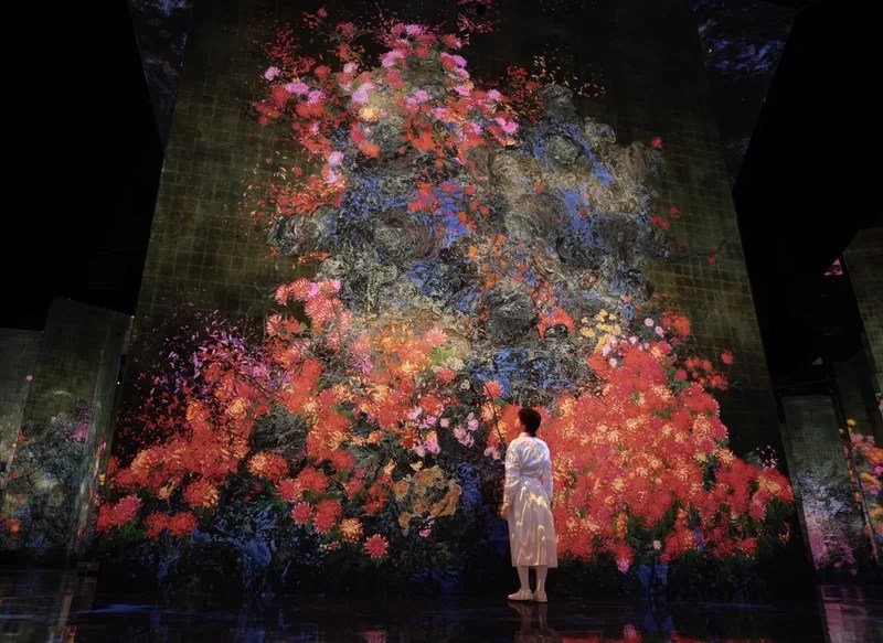 teamlab_Continuous Life and Death_Biovortex Kyoto - 1EarthMedia TeamLab, Continuous Life and Death, 2025, from the series Continuous Life and Death at the Now of Eternity, 2017-, interactive installation, endless, sound, Hideaki Takahashi, © TeamLab, courtesy Pace Gallery.