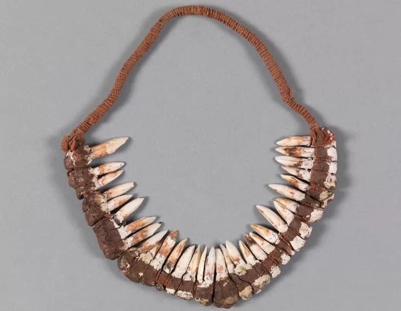 Larrakia Repatriation - 1EarthMedia Larrakia kangaroo tooth headband