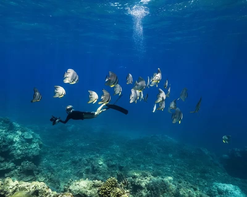 Nush Freedman Photography_-4 - 1EarthMedia Scott Reef, photo courtesy Nush Freedman Photography