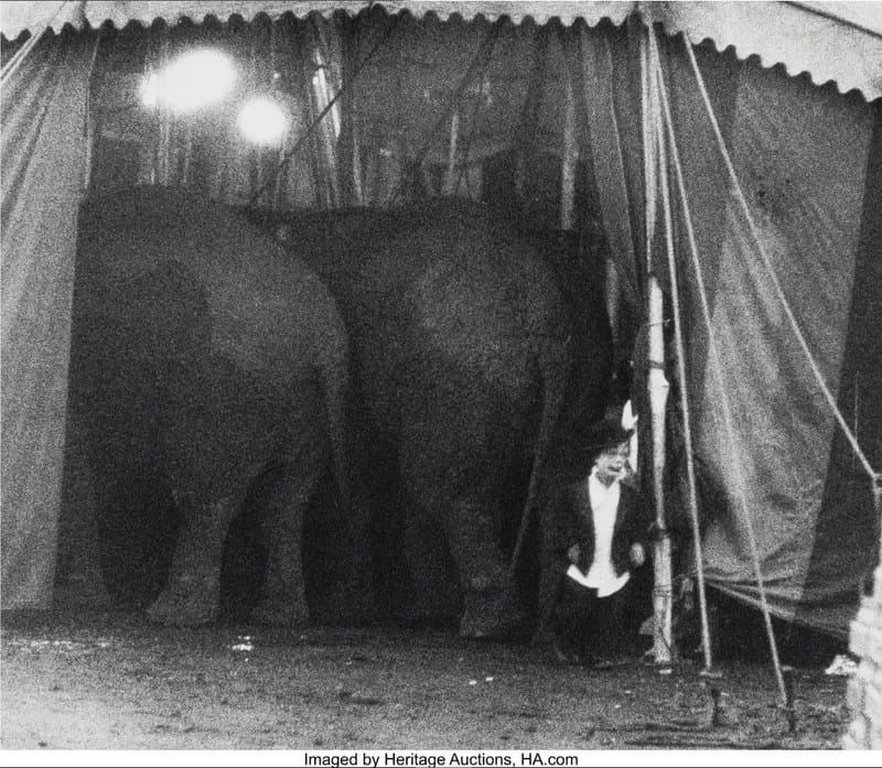 DavidsonCircus003 - 1EarthMedia Bruce Davidson Circus