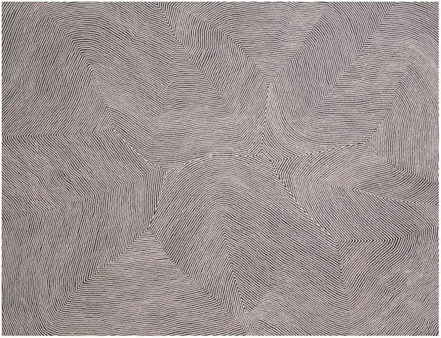 Warlimpirrnga-Tjapaltjarri - 1EarthMedia Warlimpirrnga Tjapaltjarri