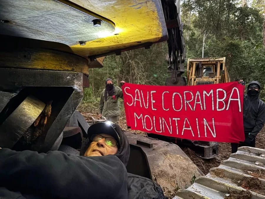 Orara State Forest - 1EarthMedia Logging machinery stopped by forest defender before first tree felled in Orara East State Forest.