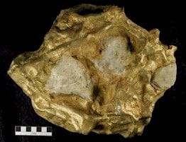 schlemm - 1EarthMedia The Schlemm gold nugget