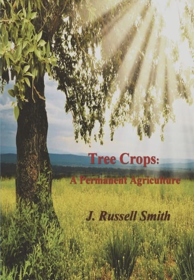 Book cover: a tree beside a sunlit field with rays, title 'Tree Crops: A Permanent Agriculture' and author 'J. Russell Smith'