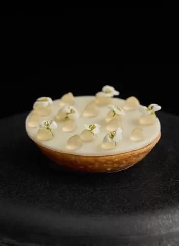 Row On 45 Dubai - 1EarthMedia Row On 45 Dubai